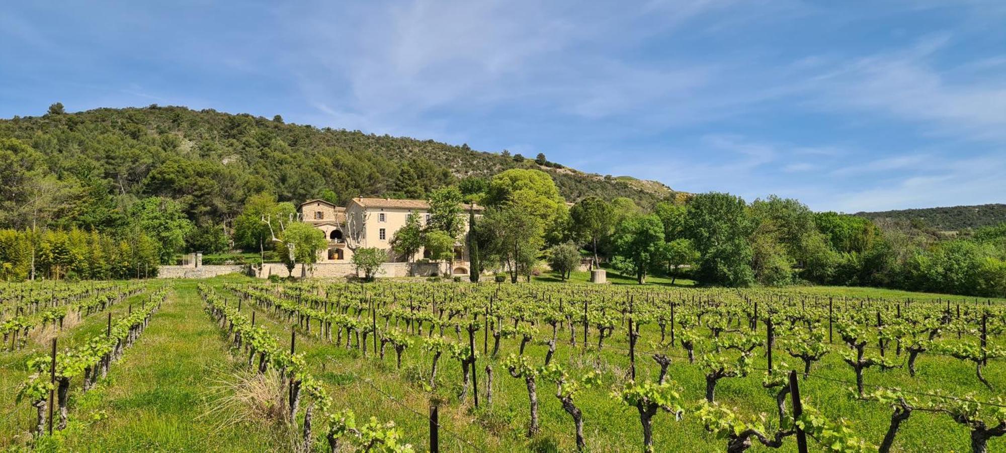 La Bastide De Peyremale, Gites En Cevennes, Piscine, Tennis Bagard Esterno foto